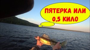 Ловля судака на силикон на Волге.