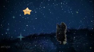 Ёжик и звездочка