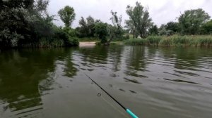 ОТВОДНОЙ ПОВОДОК УБИЙЦА СУДАКА ОКУНЯ КАРПА ПРАВИЛЬНЫЙ МОНТАЖ