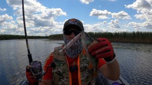 Трофей воблера Shimano Word Мinnow 115SP