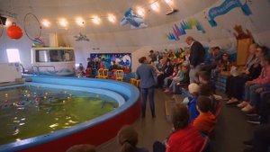 Морские котики, Тюлени и Нерпа в Мурманском Океанариуме