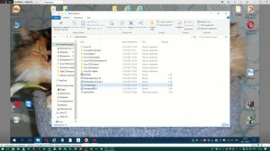 Internet explorer не запоминает параметры совместимости