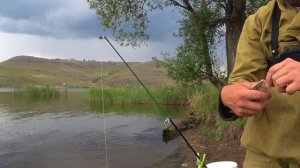 РЫБАЛКА НА ДОНКИ В СЕРЕДИНЕ СЕНТЯБРЯ.