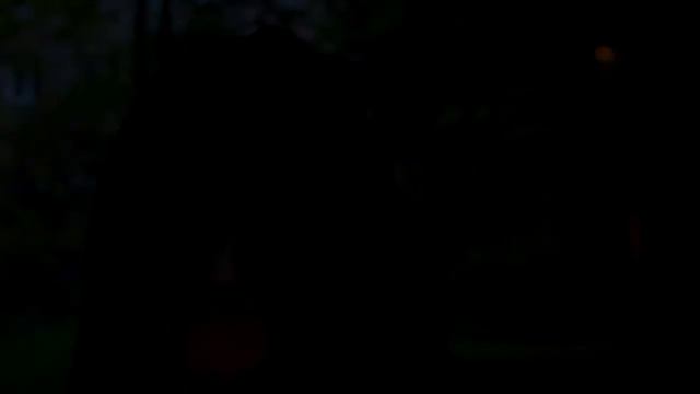 Чихуахуа Нери -Снайпер смотреть онлайн