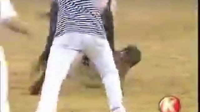 Прикол на корриде смотреть онлайн