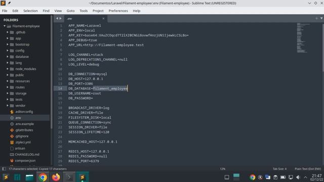 ?Laravel filament, ?creación de proyecto e instalación del admin panel mas conexion de bd смотреть онлайн