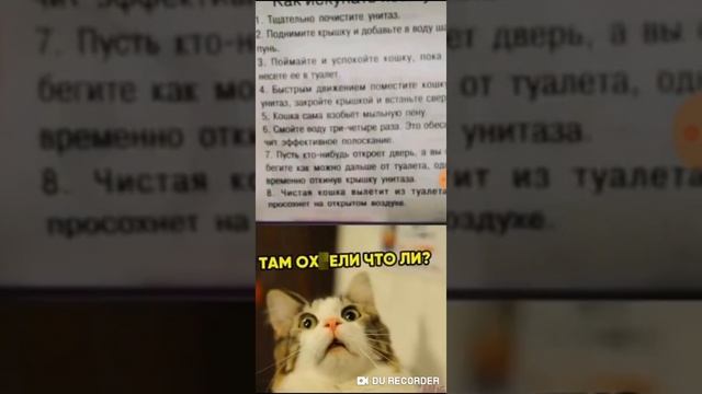 Как помыть кота смотреть онлайн