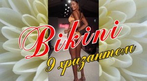 БИКИНИ / 9 Хризантем (ремикс)