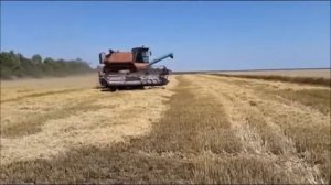 Хлеб   драгоценность! От зёрнышка до каравая.