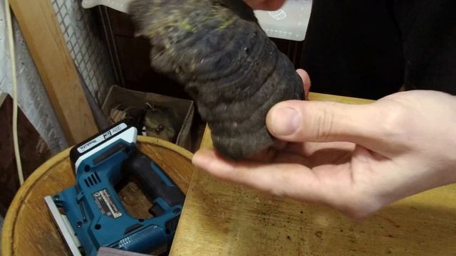 ПРИРОДНЫЕ МАТЕРИАЛЫ ДЛЯ ТВОРЧЕСТВА