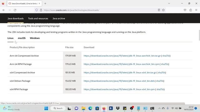 How Install Java (JDK 19)on your Microsoft Windows 11 machine by Software testing with Jamil