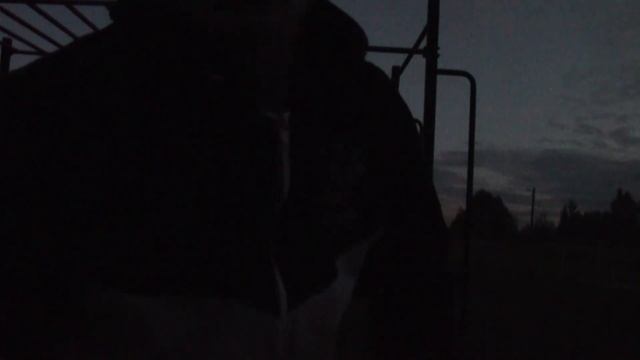 Парень сделал 300 подтягиваний за 40 минут. Чуть не упал в обморок/ Born To Change смотреть онлайн