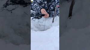 Ловим на жерлицу.Зимняя рыбалка.Кумжа.Мурманская область.14 февраля 2023.