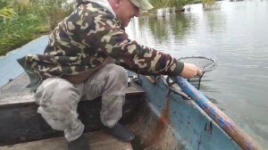 Рыбалка на окуня,на лимане! Окуня много! Лебедь был голодным!