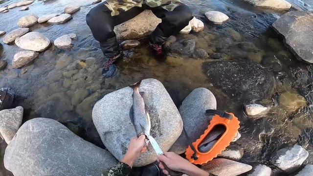 Рыбалка на горной реке! В погоне за хариусом! Часть 1 смотреть онлайн