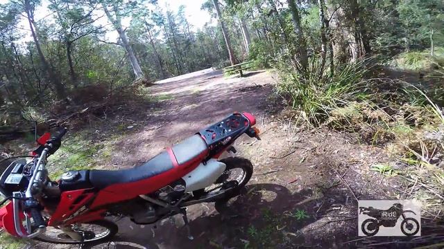 Honda XR250 L Dual Sport Walk Around | Jeffries Road Exploration