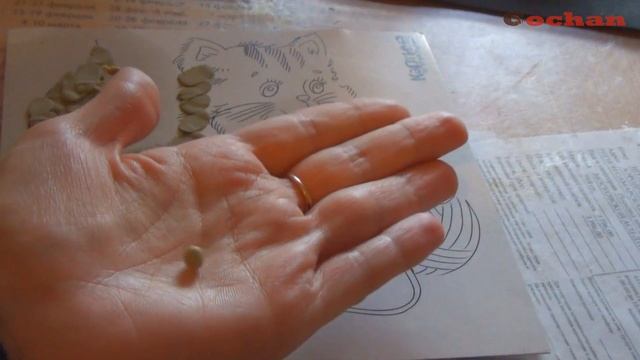 Обзор набора "Картина из пластилина". Кошка. Создаем композицию. смотреть онлайн