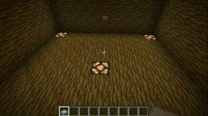 Tip: Hidden Blocks in Minecraft