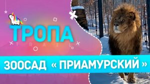 Тропа. Зоосад