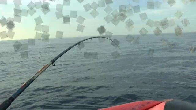 Рыбалка в Черном море. Пеламида. Троллинг. Севастополь смотреть онлайн