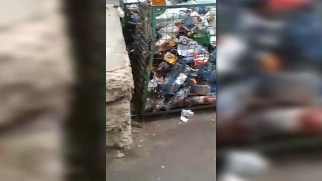 В одном из дворов Новомосковска крысы осадили контейнерную площадку смотреть онлайн