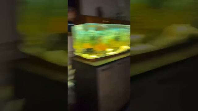 ЭТО ТРЕШ❗УСТРОИЛИ ТУСУ НА ХАТЕ / Даша Суднишникова смотреть онлайн