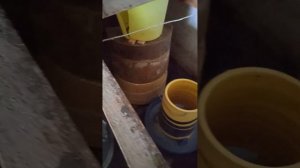 Вредители пчел . Большая и малая восковая моль .