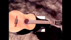 Обзор классической гитары Trembita CG-27