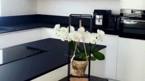 Модель Итальянской кухни!