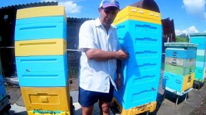 Улей ППС тестирую. Весеннее развитие пчел в улье Лысонь