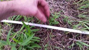 Minelab Safari.Тест.Замер чувствительности.Чувствительность в режиме AUTO