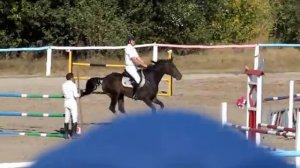 конкур | падения в конном спорте