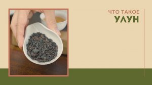 Виды улунов