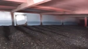 Сушка суперсырого подсолнечника в Липецке в конвейерной зерносушилке