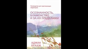 Аджан Брахм — Осознанность, блаженство и за их пределами ч.2 (аудиокнига) Буддизм Тхеравада