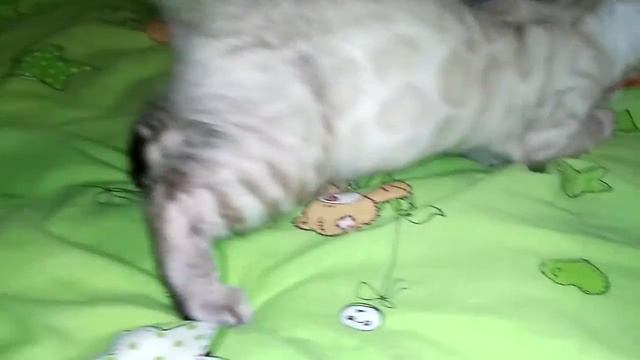 VID 20170106 2052251