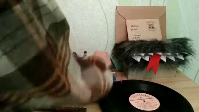 Всё по Гарри Поттеру⚡от А до Я??♀️?⚡❤️ смотреть онлайн