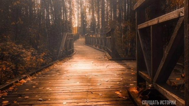 Бабуля приготовилась к смерти. купила гроб. Приоделась, легла и лежит. Уже и бока начали болеть... смотреть онлайн