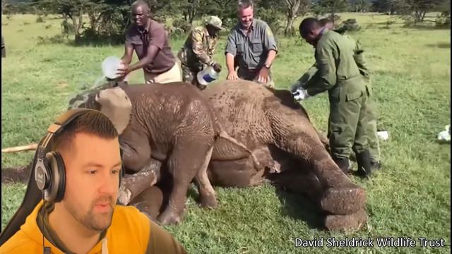 Warum mag der Toast den Senf nicht? | Daily Dose of Internet Reaction | Meist gesehenes Video смотреть онлайн