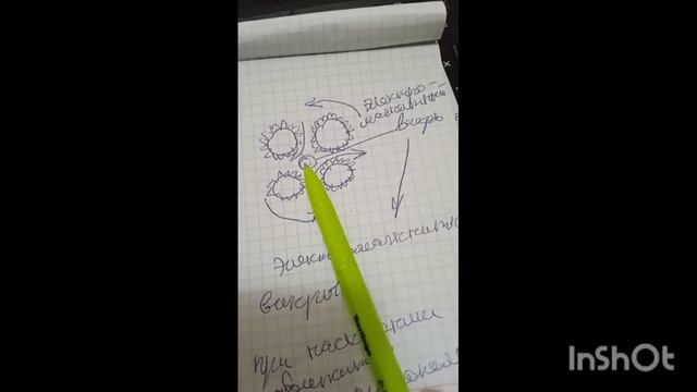 Про то как образуется и передаëтся радиация! смотреть онлайн