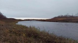 Моторная лодка Триера 431 фиш в моменте ОСЕНИ !!!