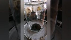 Колпачки маринованные