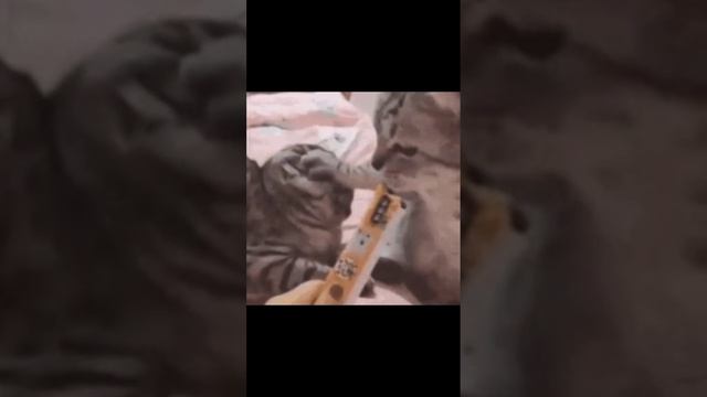 не  судите строгая не умею делать монтажик смотреть онлайн