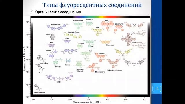 Люминесценция. От светлячка до медицинской диагностики. 21.11.2020 смотреть онлайн
