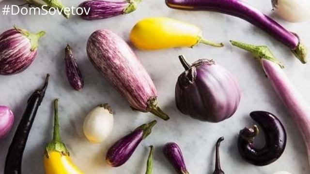 Почему БАКЛАЖАН стоит ЕСТЬ КАЖДЫЙ ДЕНЬ он УДИВИТЕЛЬНО ПОЛЕЗНЫЙ#DomSovetov смотреть онлайн