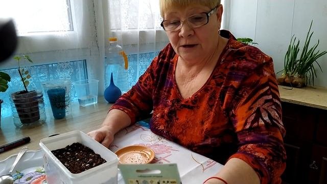 #Лаванда#от#А#до#Я/