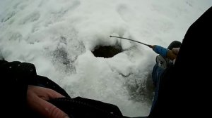 ДИКИЙ КЛЕВ СИГА  НА БЕЛОММОРЕ!!!