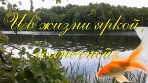 с днем рождения Денис!