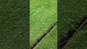 Укладка кабеля на газоне.