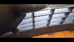 Ford Focus Ford C-MAX - УСТАНОВКА ЗАЩИТНОЙ СЕТКИ В РАДИАТОРНУЮ РЕШЕТКУ